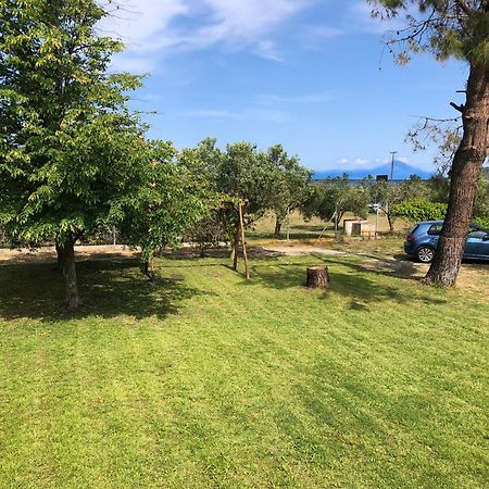 Athos View Villa By The Sea Ormos Panagias Exterior foto
